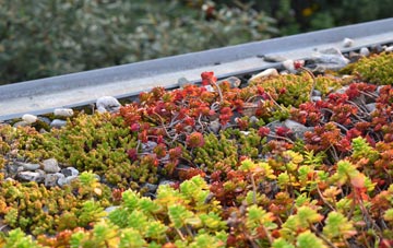 the cost of Setchey green roof installation