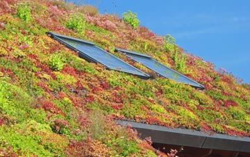 Setchey living roof systems