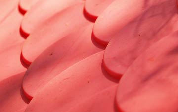 Setchey plastic roof costs