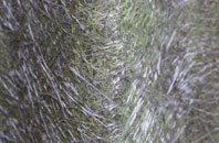 Setchey fibreglass roof work